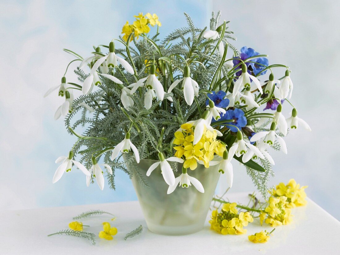 Bouquet with snowdrops in opaque glass case