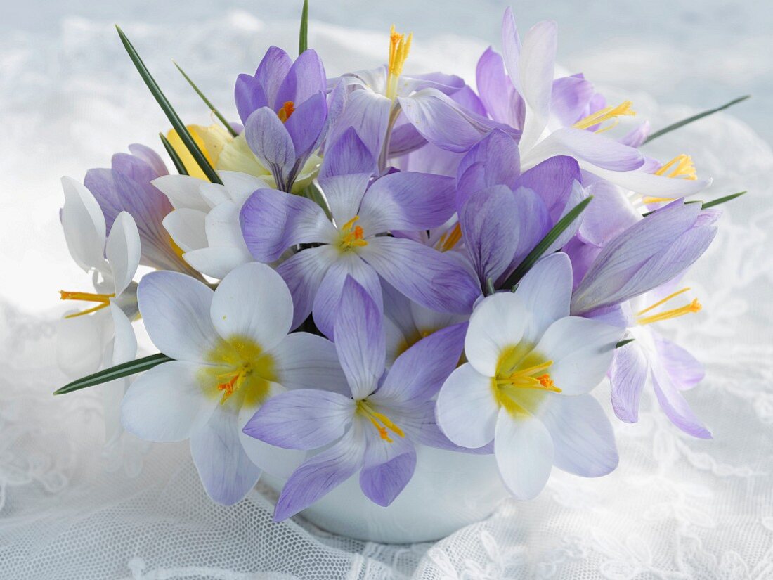 weiße und violette Blumen in Vase auf Spitzendecke