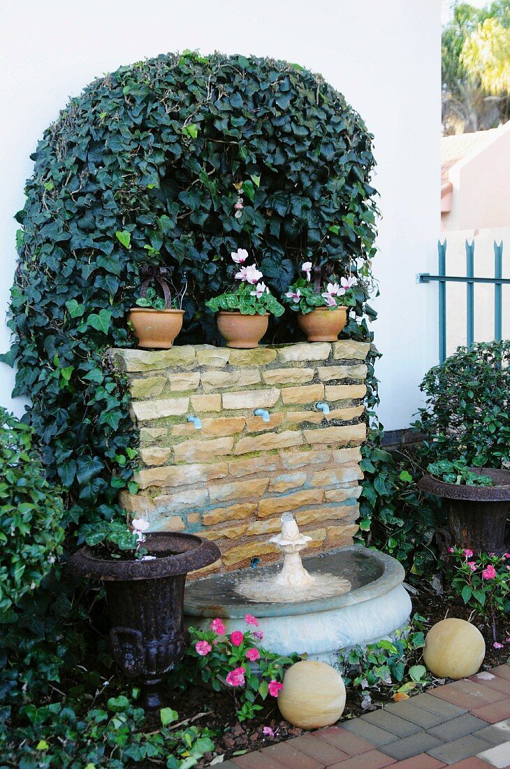 Ivy-grown stone back wall of small fountain