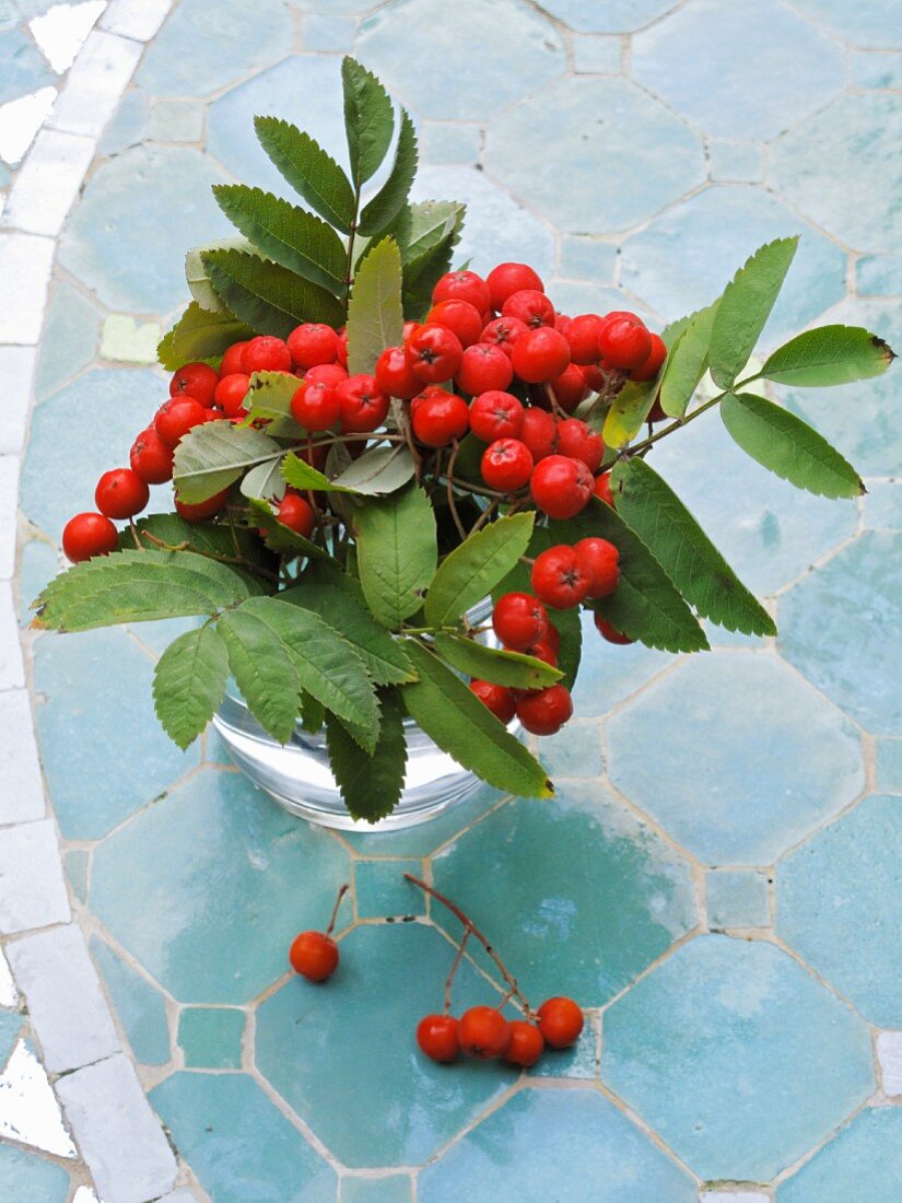 Rowan berries and twigs in vase on table