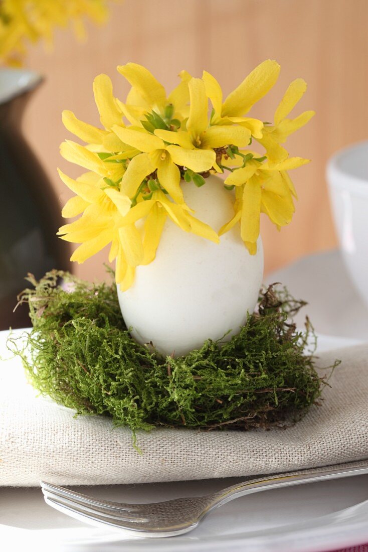 Forsythia in Easter egg on moss as table decoration