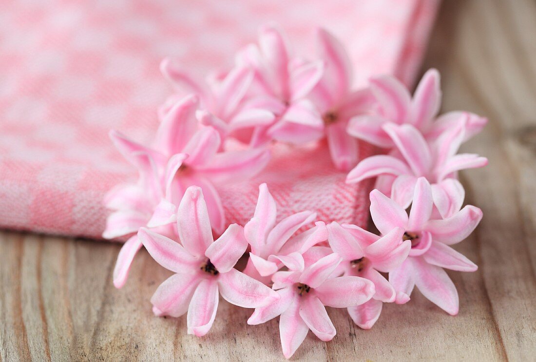 Pink circlet of hyacinth florets on a tea towel