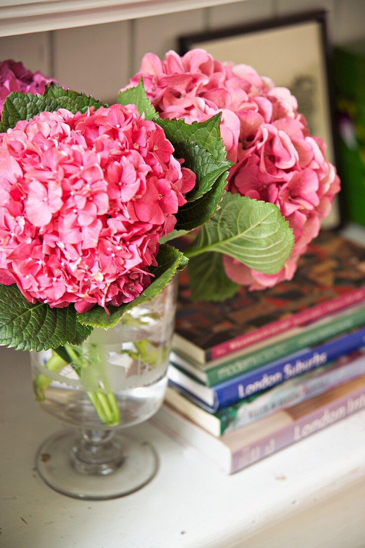 Pink hydrangeas in glass vase next to stack of books