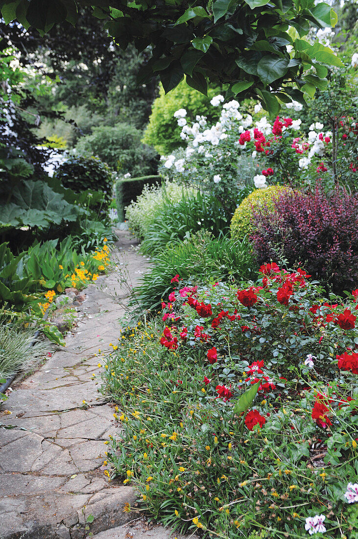 Garten mit Steinweg