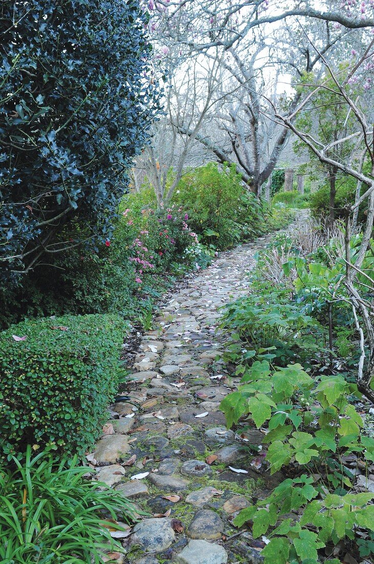 Steinweg führt durch den Garten