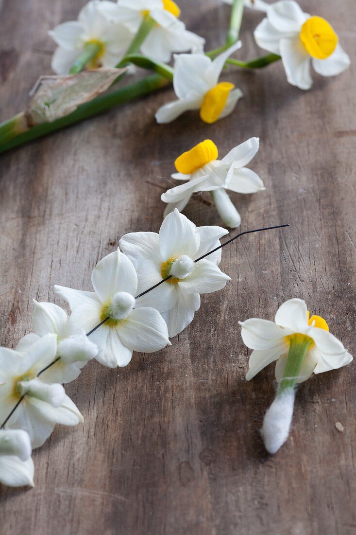 Wiring narcissus flowers for a wreath