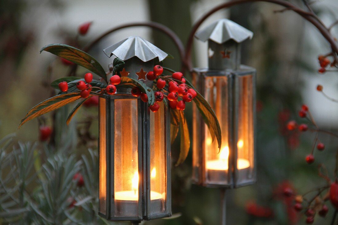 Lanterns with red berries and rosehips