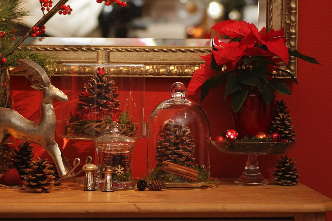 Fir cones under glass cloches, miniature tin rocking horse and poinsettias as Christmas decorations