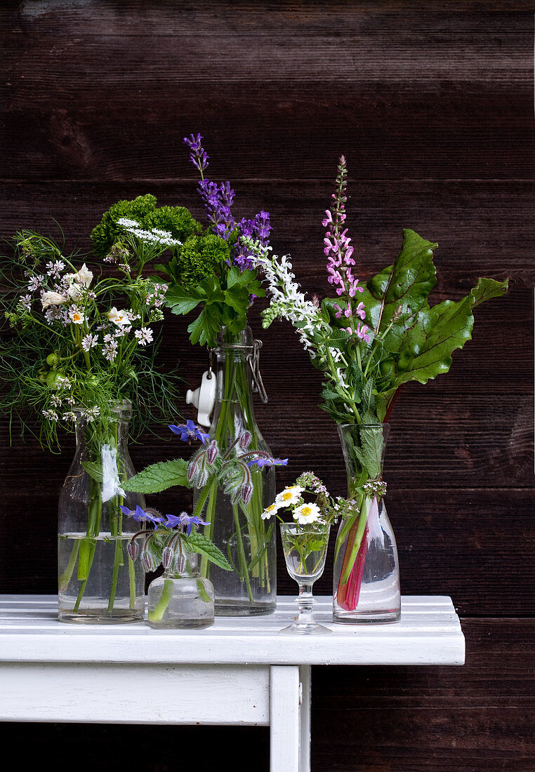 Flowering garden herbs in glasses and bottles against dark wooden wall