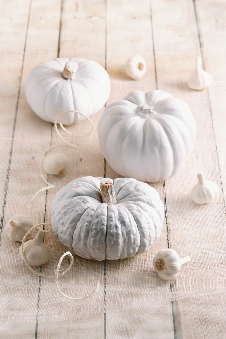 Dekoration für Halloween: weiße Kürbisse und Knoblauch