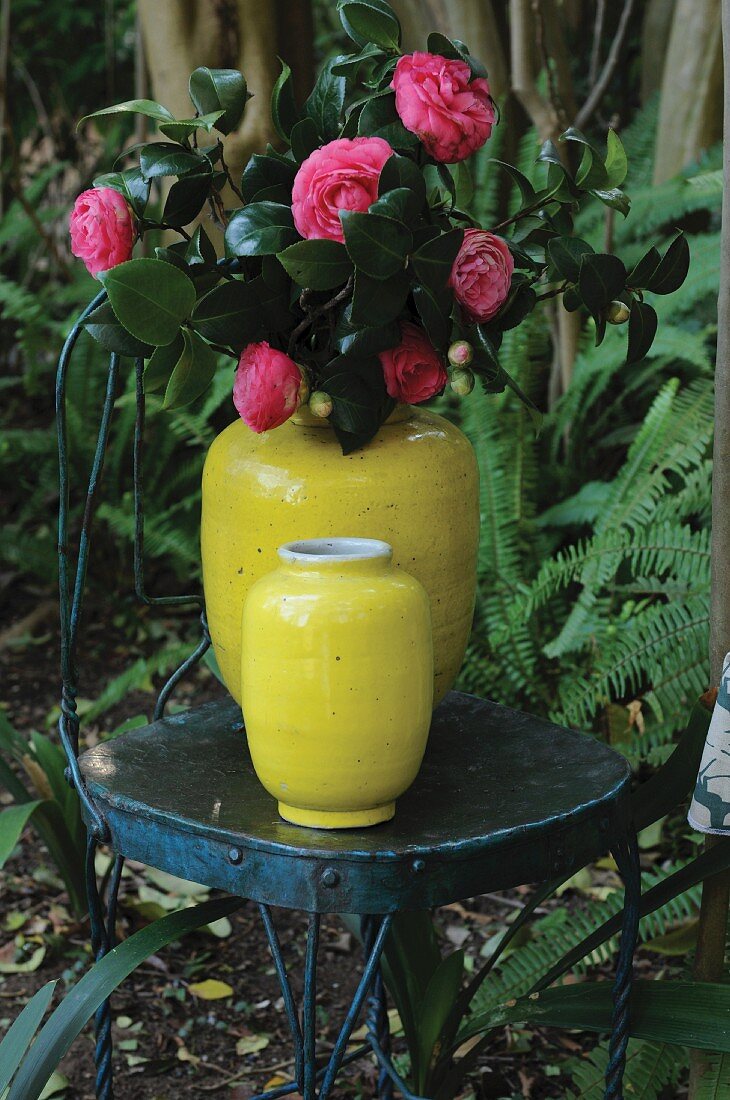 Gelbe Vasen mit Kamelienblüten auf Stuhl im Freien