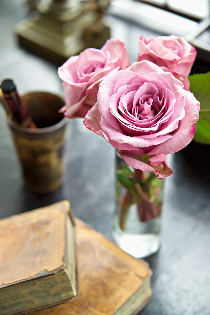 Posy of pink roses in glass vase