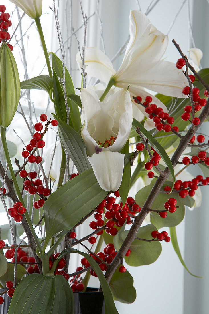weiße Lilienblüten und Zweige mit roten Beeren als weihnachtlicher Blumenstrauss vor dem Fenster