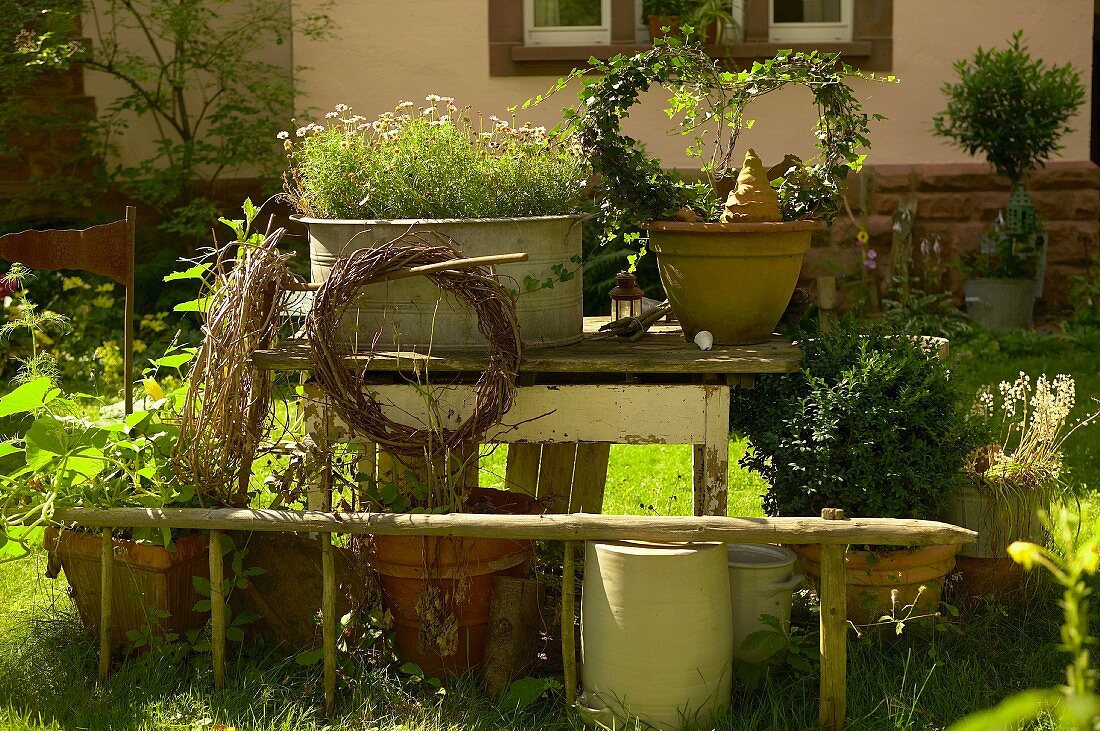 Summery garden with potted plants