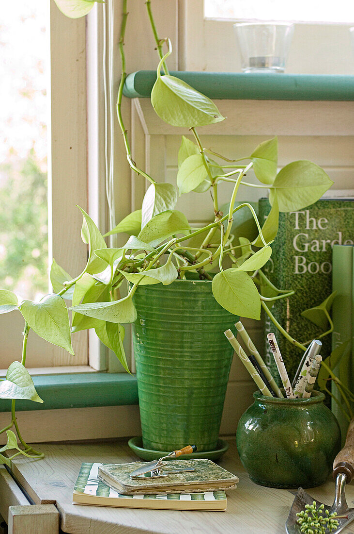 Rustic, green-glazed ceramic pots in front of window with turquoise windowsill and white, wood-panelled wall