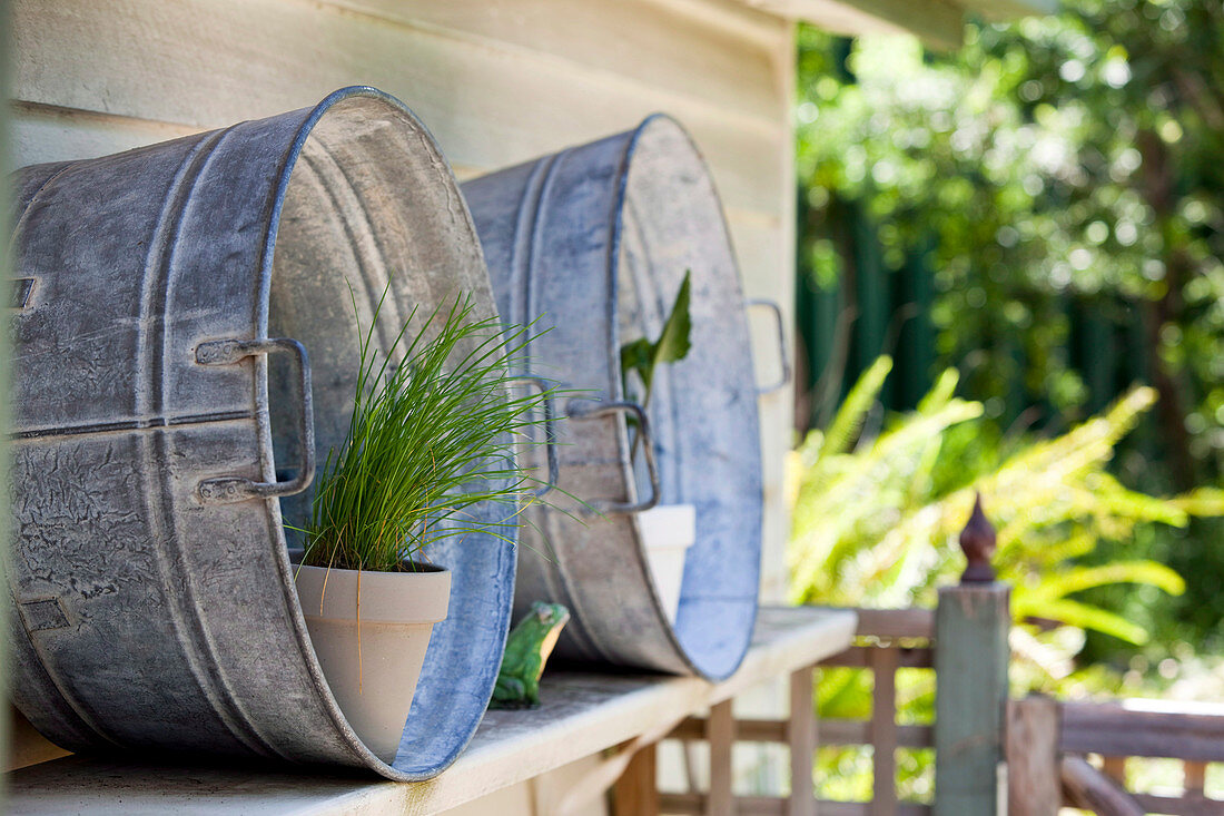 Pots of herbs in zinc containers on outdoor wall-mounted shelf