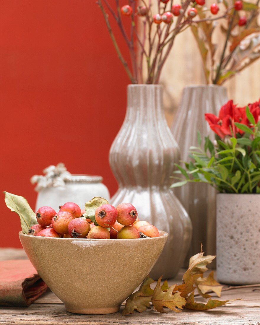 Autumn table decorations with ornamental apples and rose hips