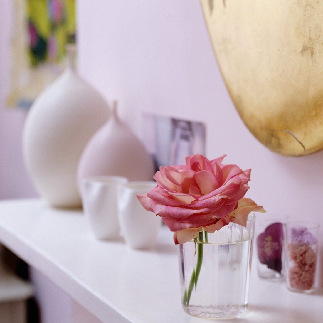 Rose in water glass on shelf against lilac wall