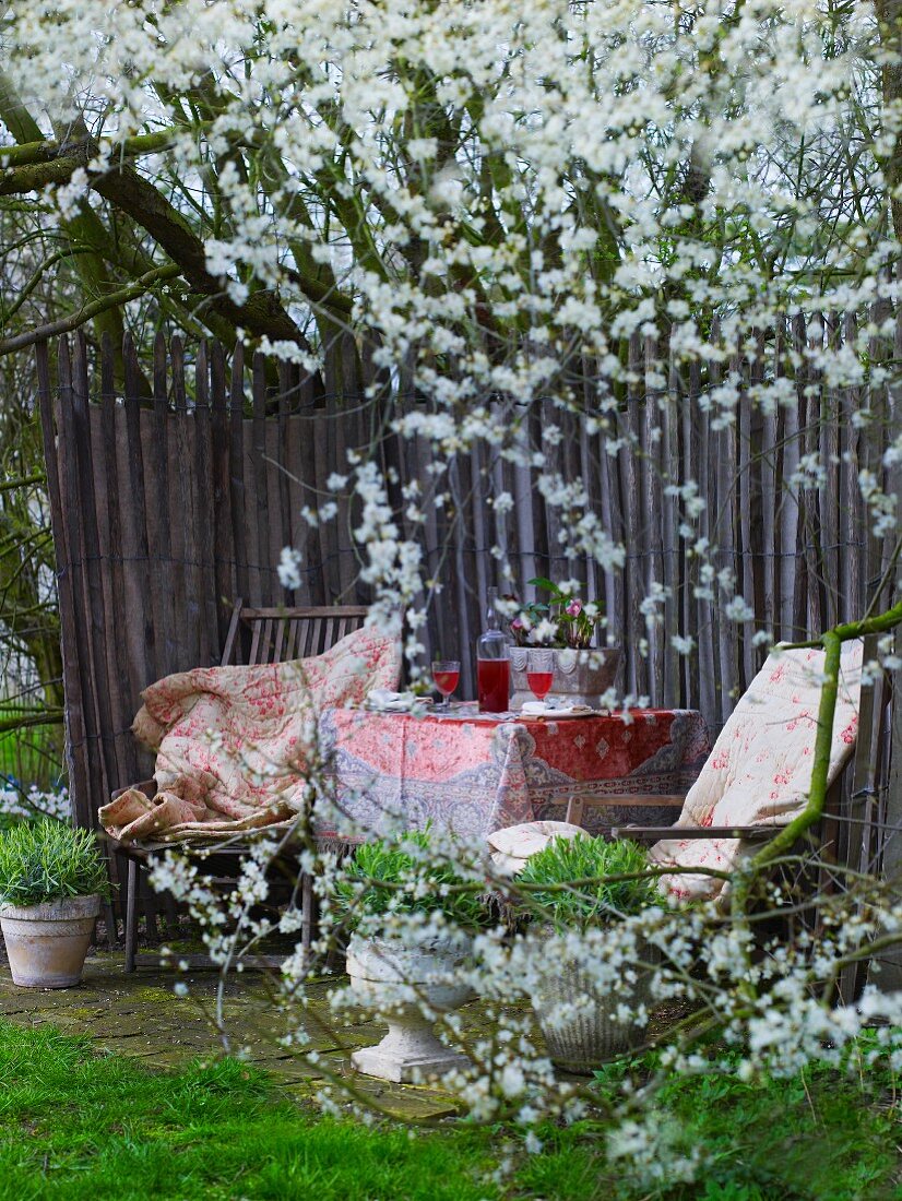 Spring atmosphere in garden with fenced-off seating area