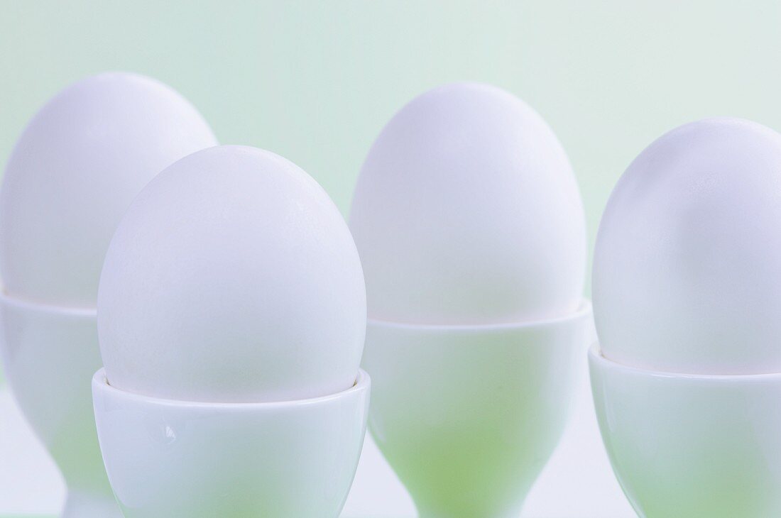 weiße Eier im Eierbecher
