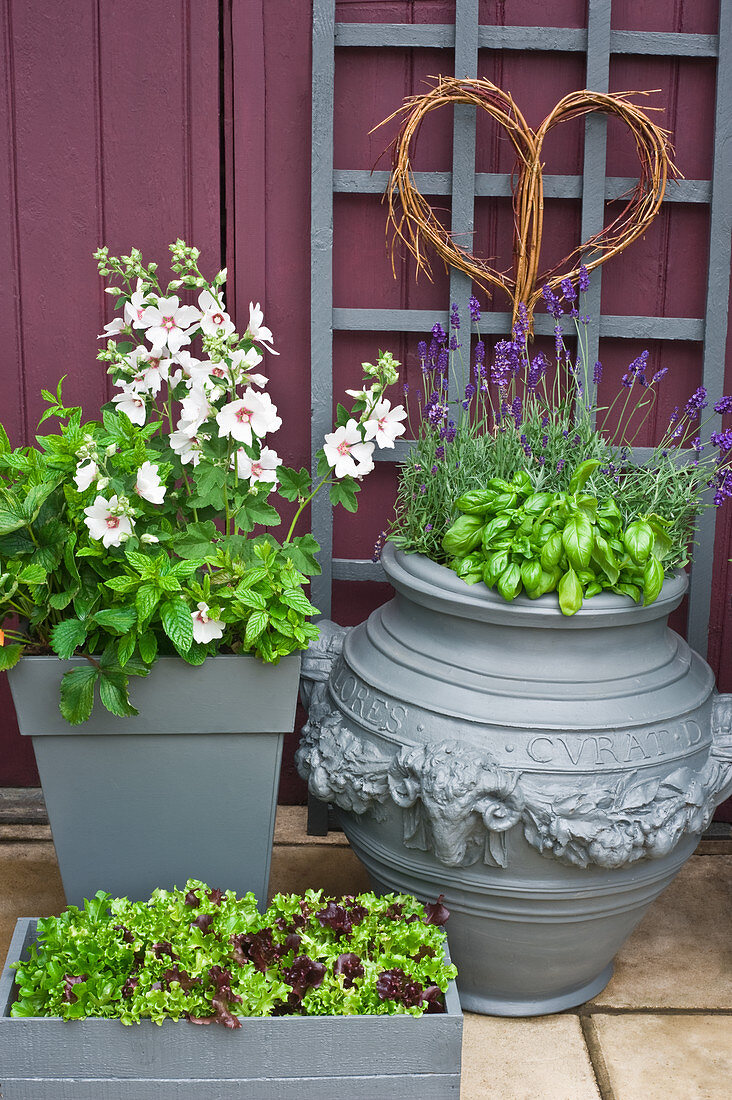 Pflanzenkübel mit Blumen, Kräutern und Salat auf einer Terrasse