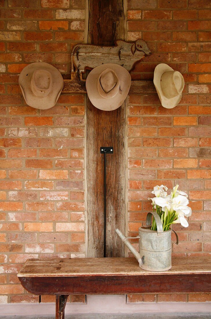 Hats hanging on pegs above watering can on rustic table against brick wall