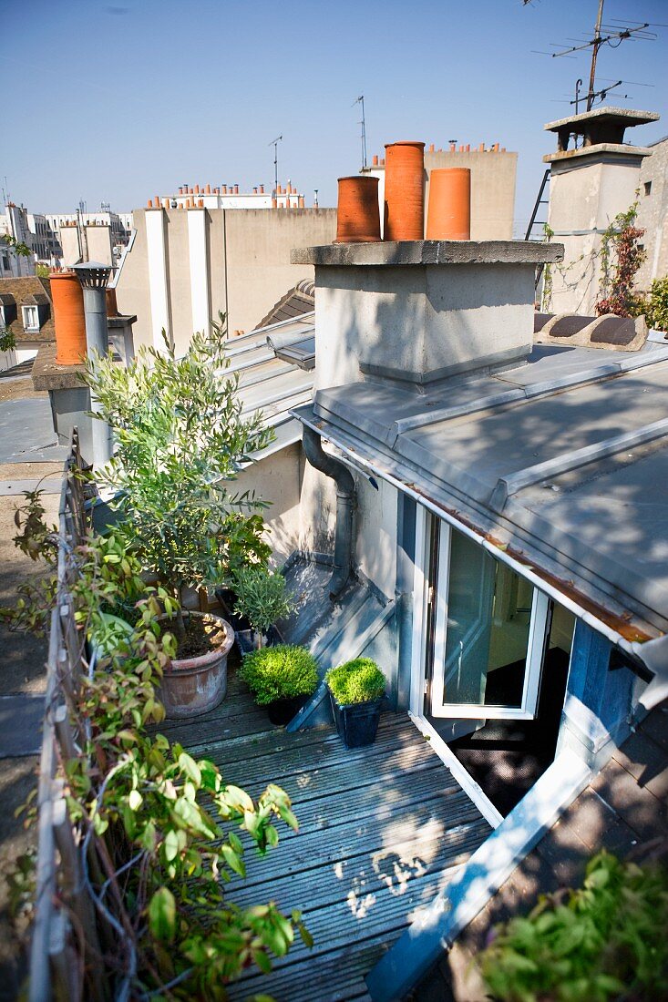 View from above of plant pots on modern roof terrace with open doors leading into apartment