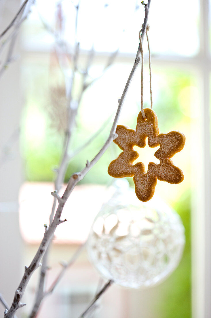 A snowflake biscuits hanging on a twig