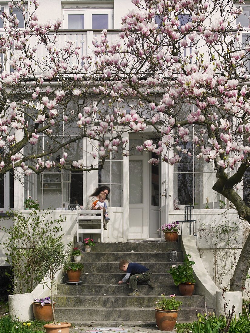 Flowering magnolias in front of villa and child playing on stone steps