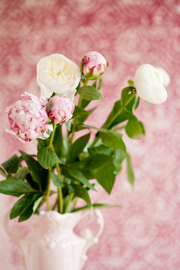 Peonies in a vase with handles