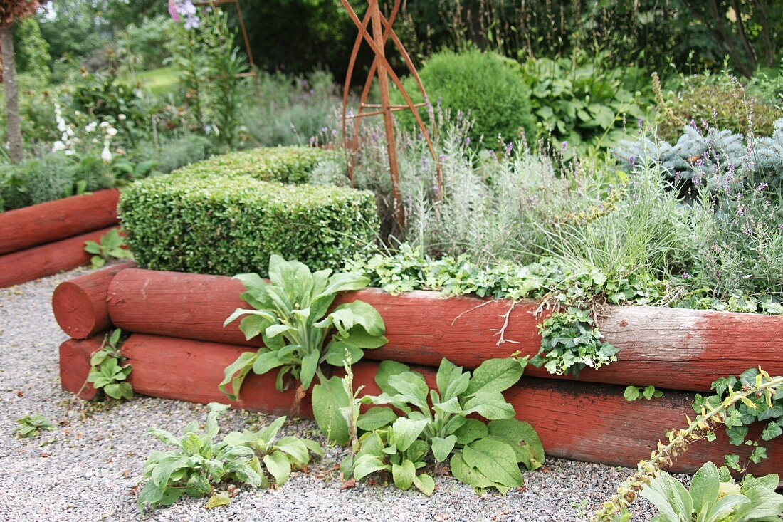 Herb garden in wooden raised beds