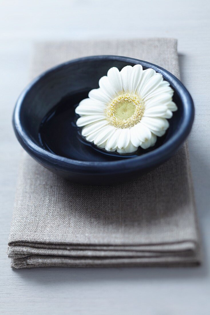 Gerbera bloom in dish on linen napkin