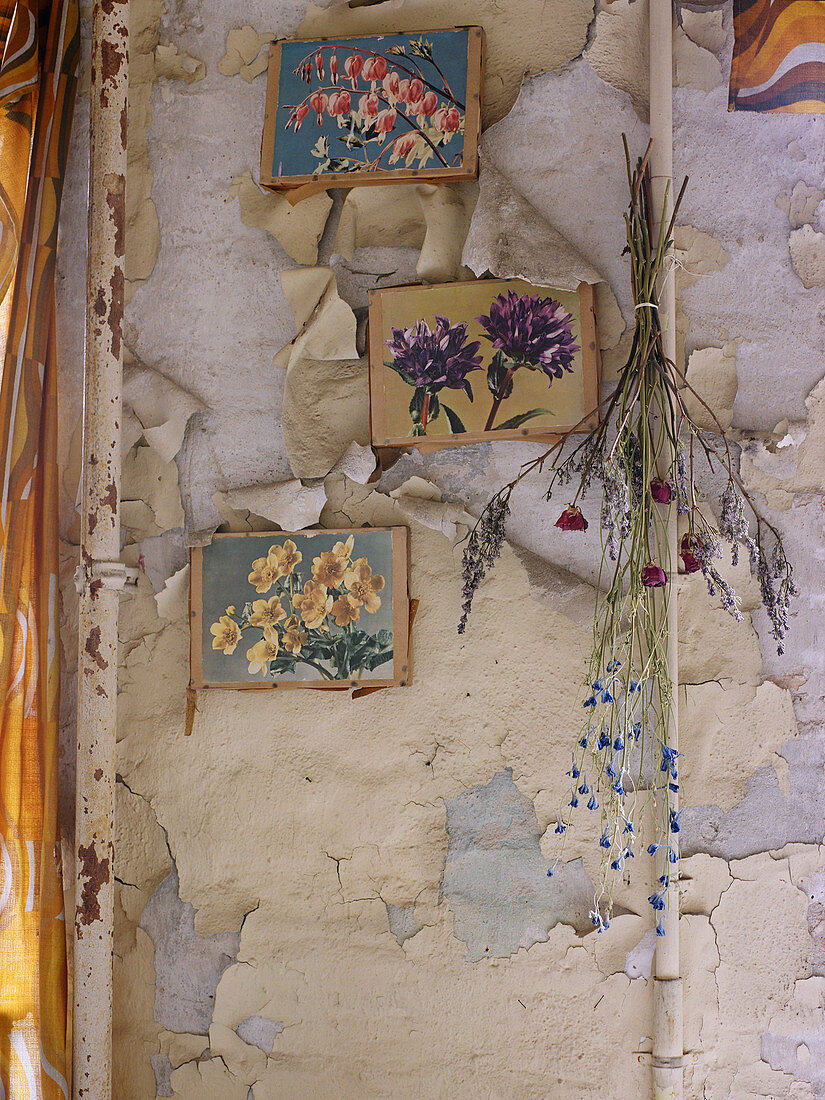 Vintage Wand mit abblätternder Farbe und aufgehängten Bildtafeln mit verschiedenen Blumenmotiven