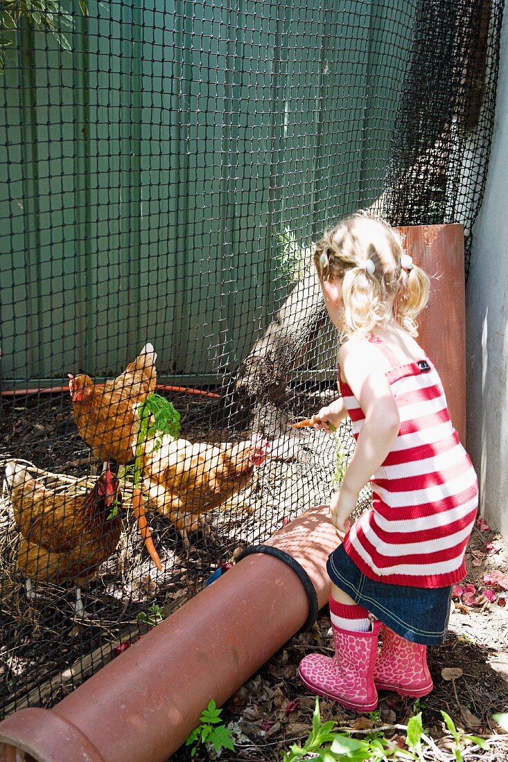 Kleines Mädchen füttert die Hühner
