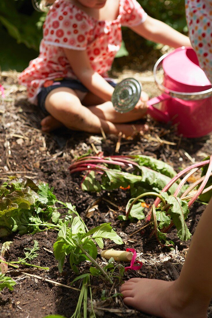 Kleine Kinde bei der Gartenarbeit