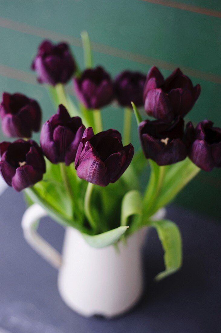 Violette Tulpen in Krugvase