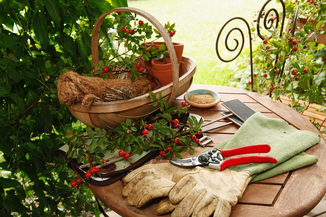 Gartenutensilien auf Gartentisch