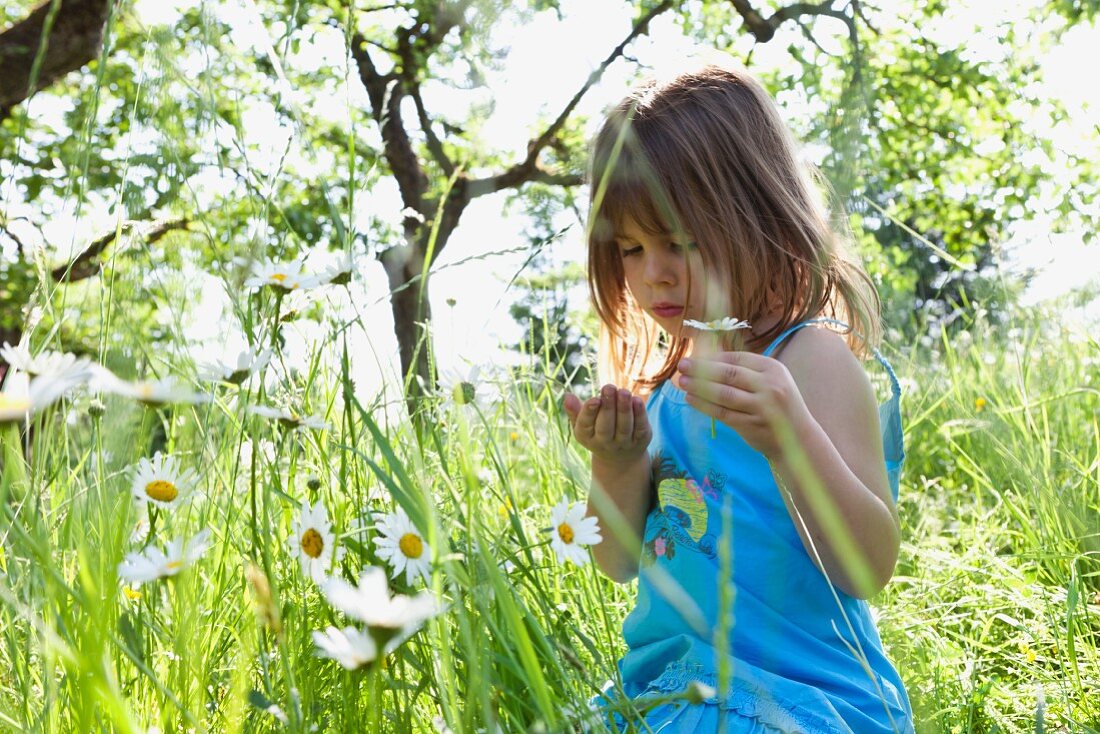 Little girl playing with flowers