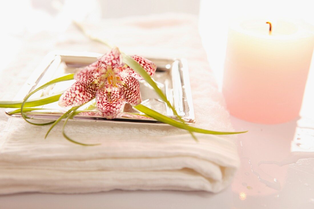 Flower on tray and towel