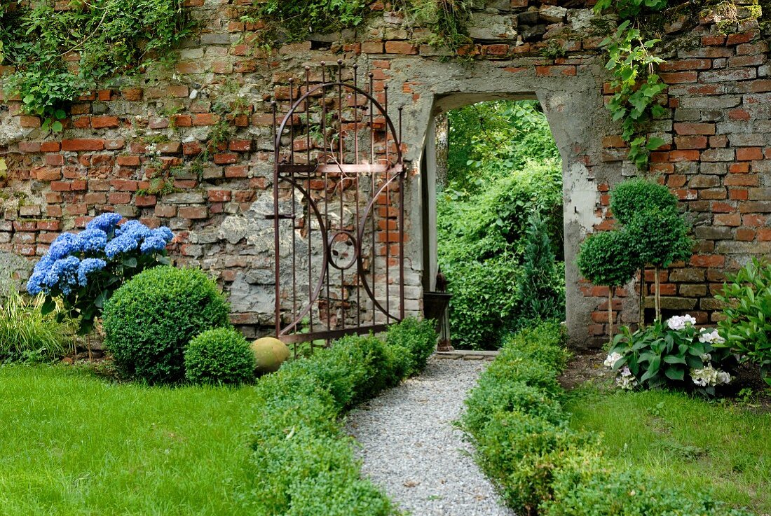 Verwitterte Schlossmauer mit Eisentor und blühenden Hortensien