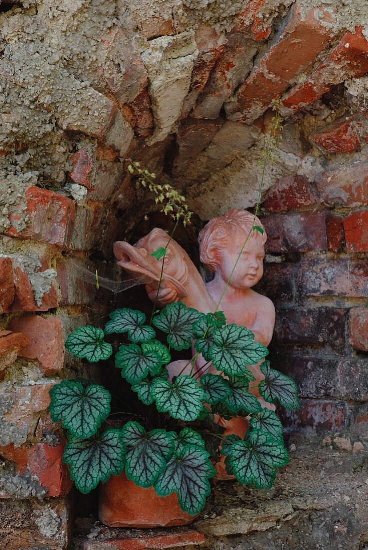 Wandnische mit Engelfigur und Grünpflanze in einer Backsteinmauer