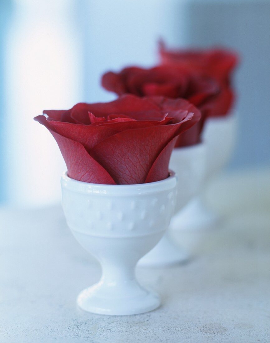 Rote Rosenblüten in weissen Eierbechern als Tischdeko