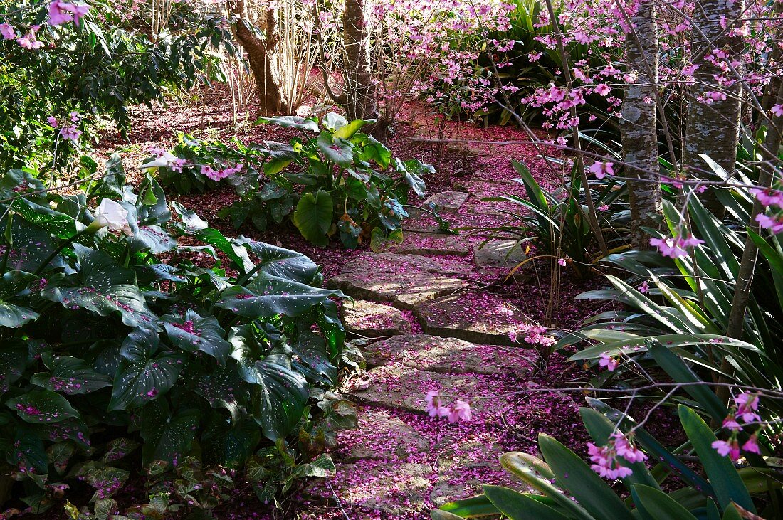 Stone path through spring garden