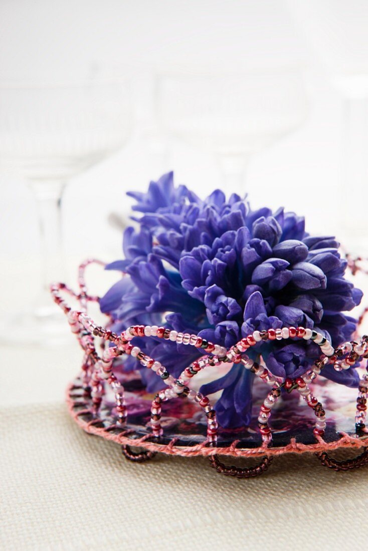 Hyacinth flower in small wire dish threaded with beads