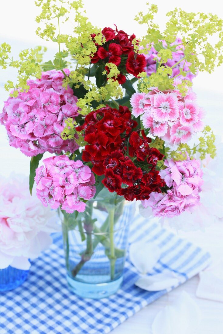 Colourful bouquet of Sweet William