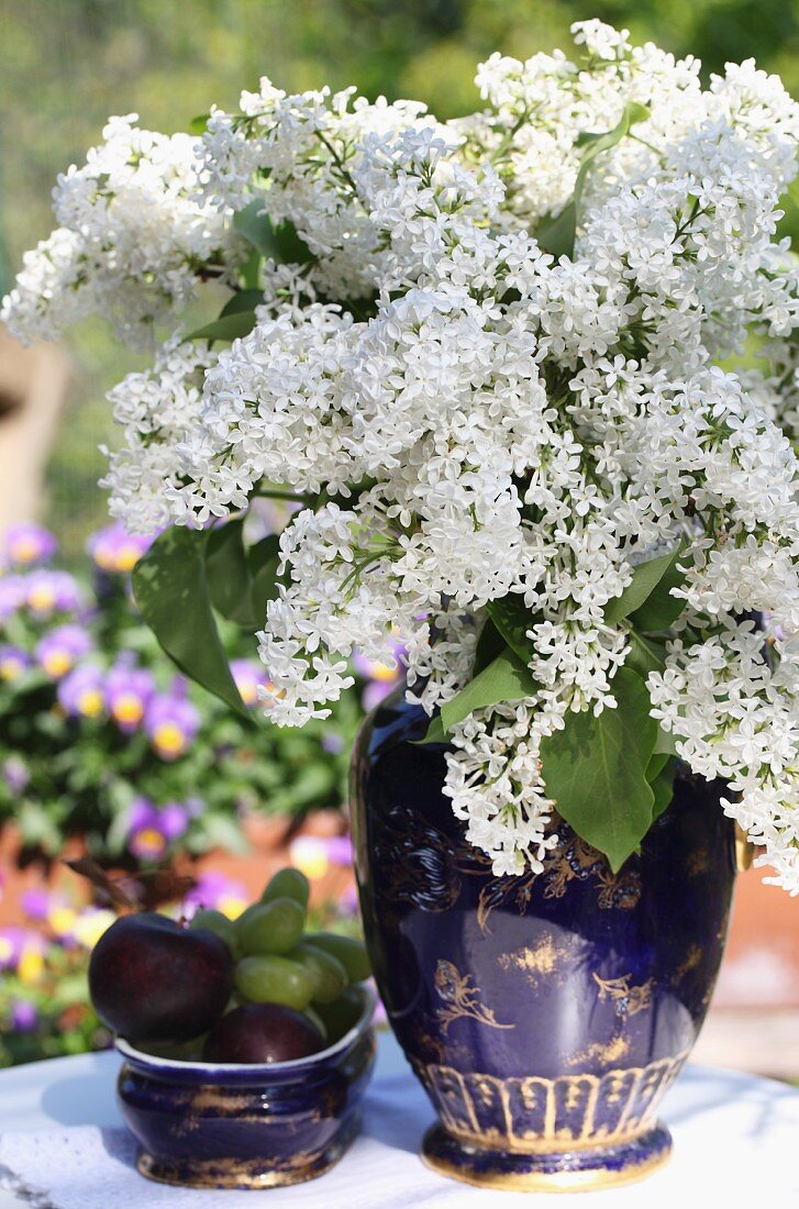 White lilac in blue vase outside on table