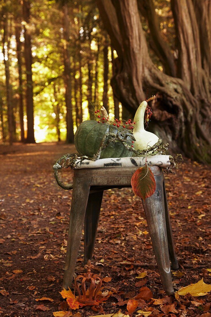 Pumpkins on wooden stool in autumnal woodland