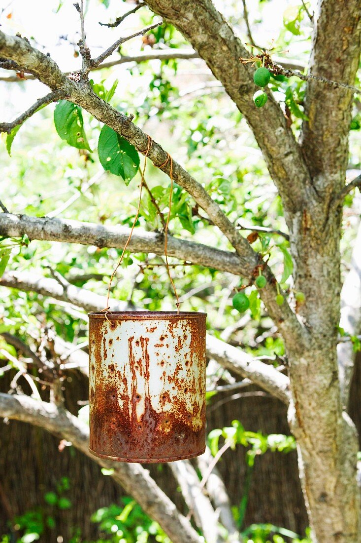 Rostiger Behälter an Ast eines Baumes gehängt