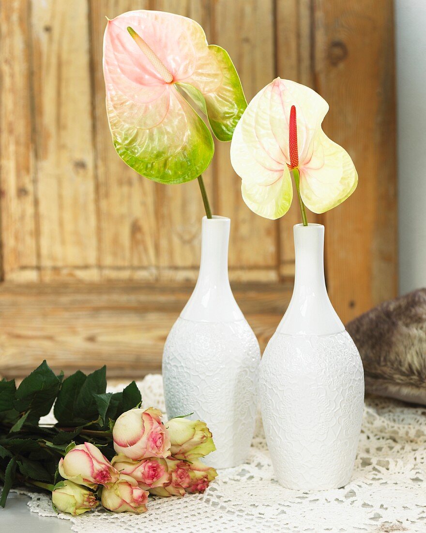 Flamingoblumen in einer Vase