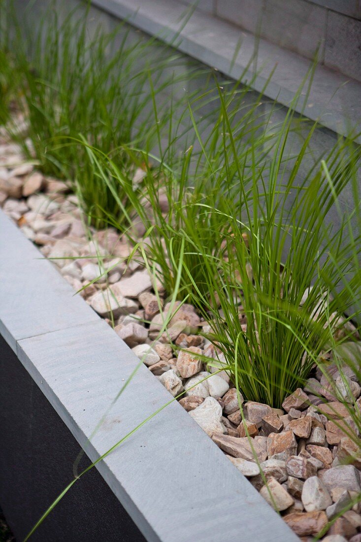 Grasses in gravel in raised bed next to house wall